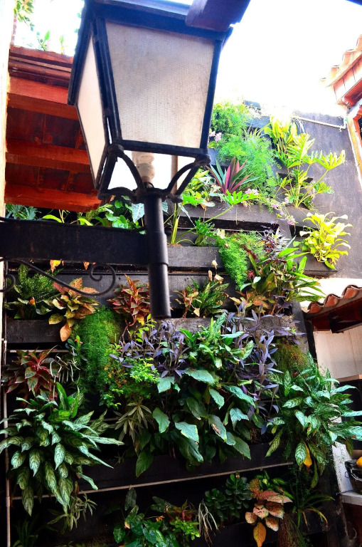 Hotel Galeria la Trinidad