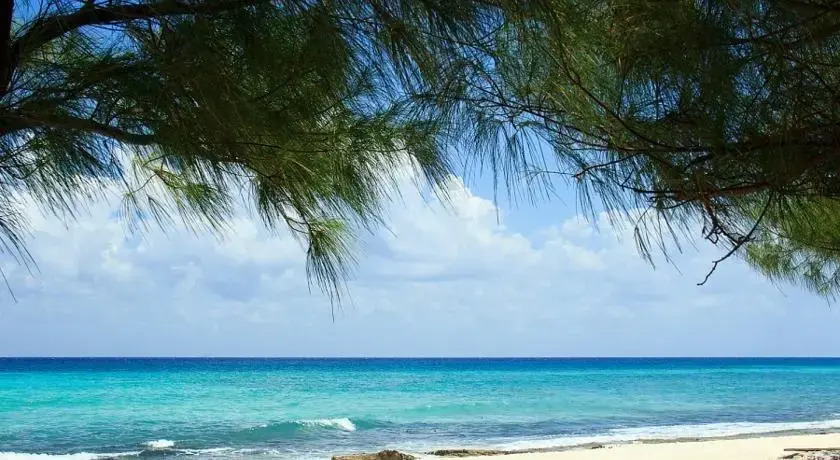 Beach Key House