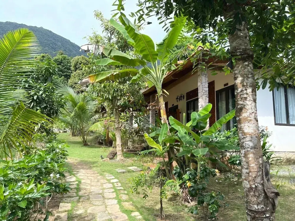 Freedom Jungle Resort