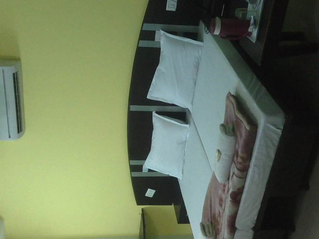 Hotel Surya Plaza
