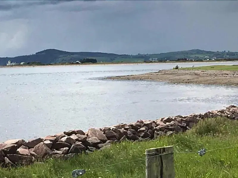 Broomlea