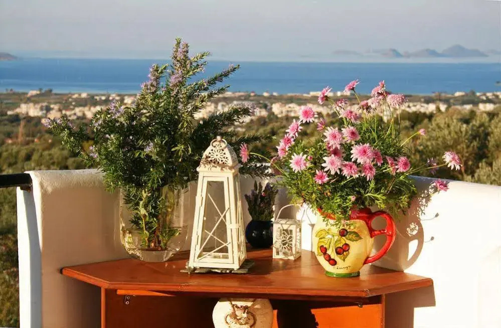 The Olive Branch Villa