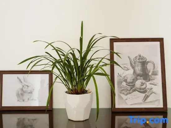 Xiangshan Muzinanxi Homestay