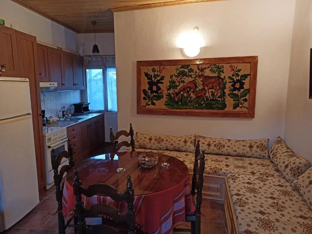 ELLI΄S HOUSE ΣΥΓΧΡΟΝΟ ΣΠΙΤΙ ΣΤΑ ΠΡΑΜΑΝΤΑ
