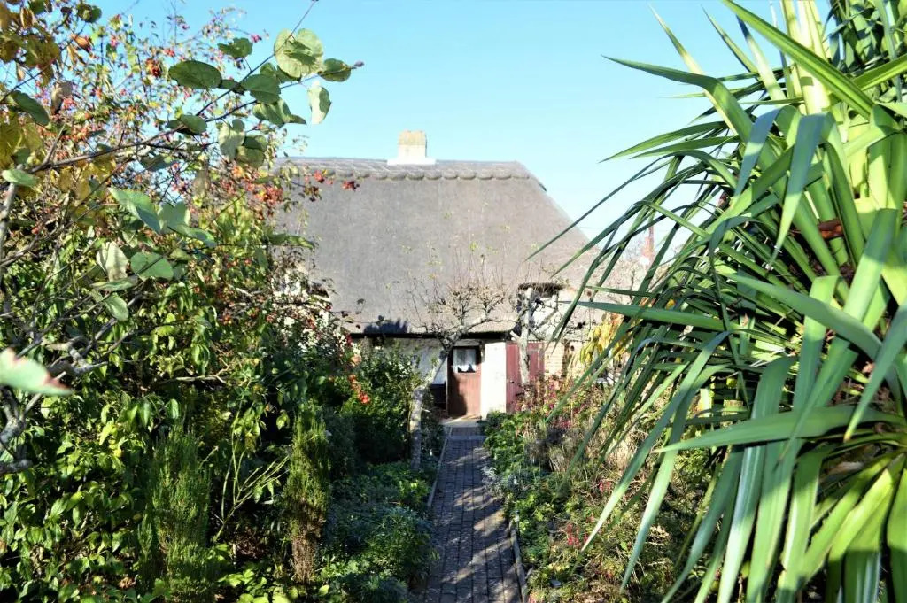 Ye Olde Cottage