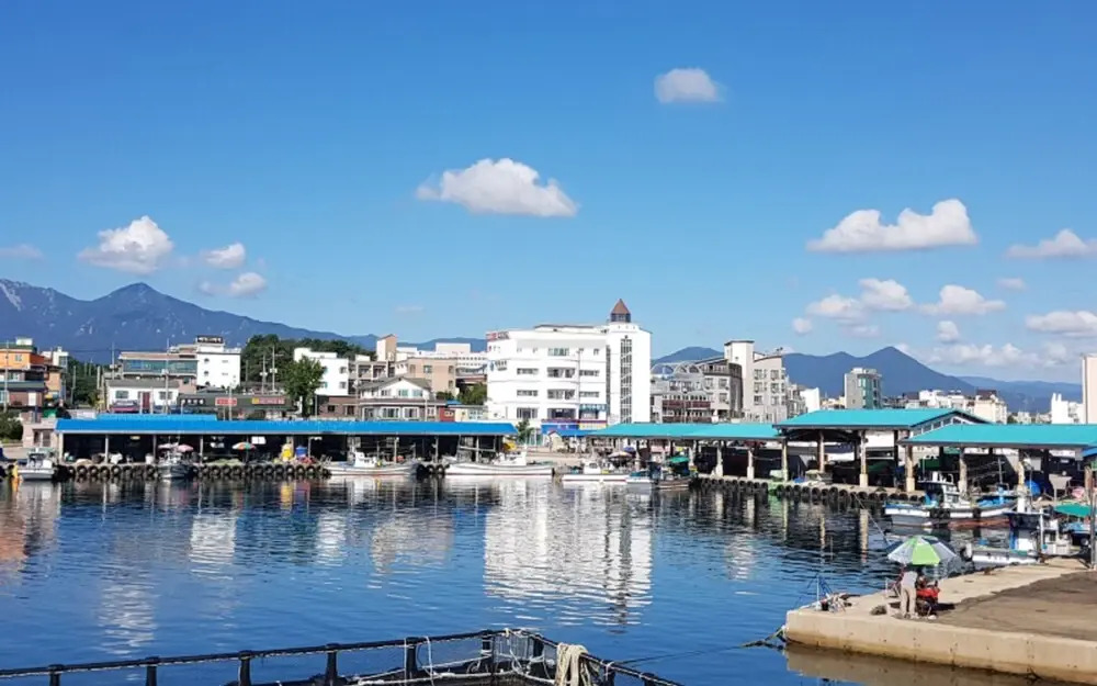 Goseong (Sokcho) Good Day House Pension