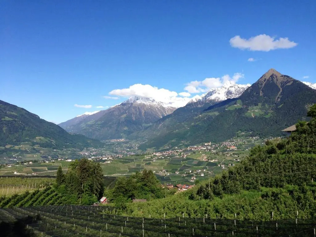 Pension Chalet Andy
