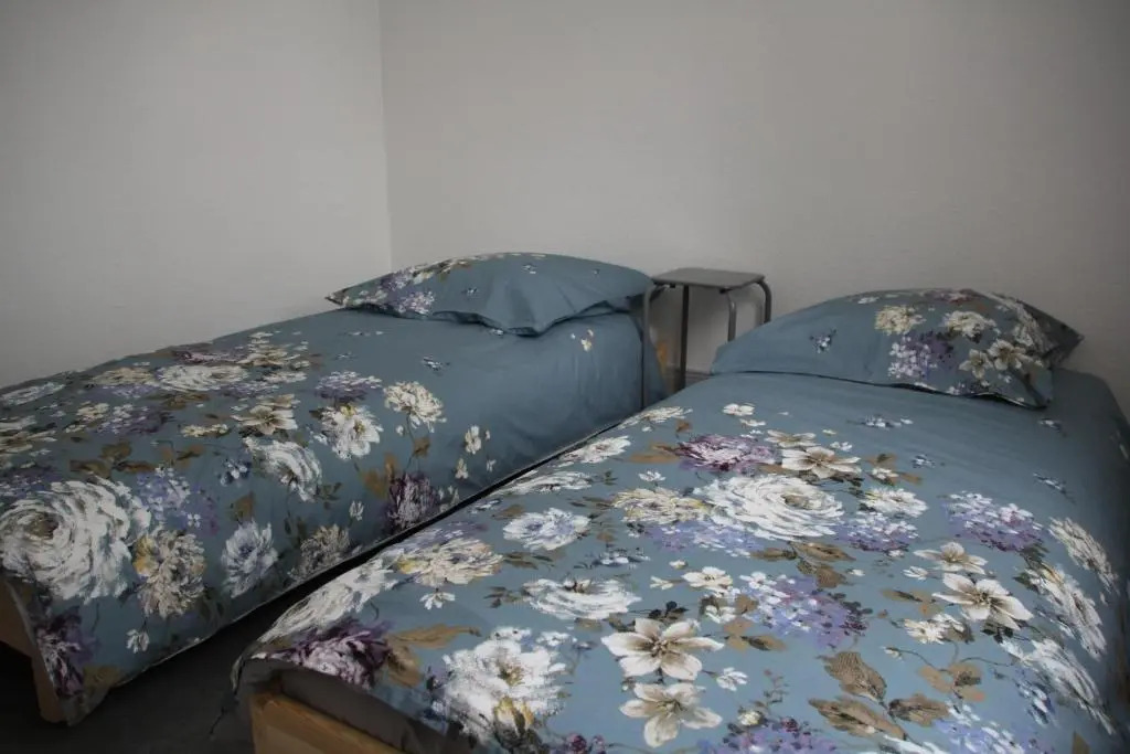 Appartement T3 très calme - Le Bartholdi - Centre de Colmar