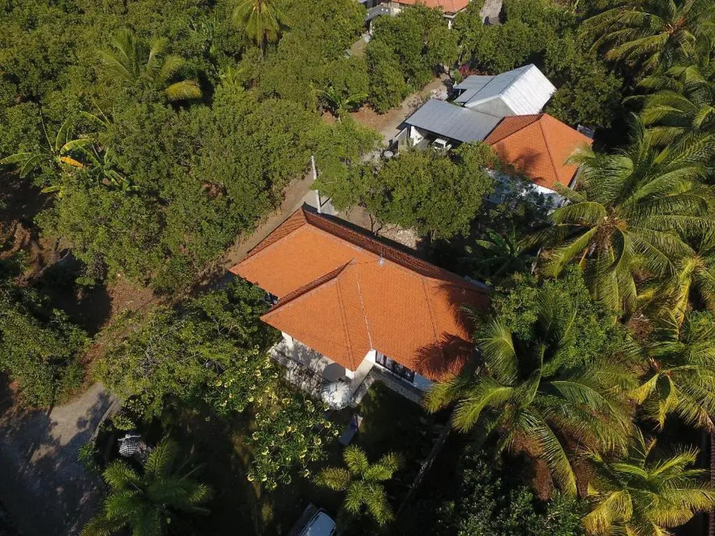 Gede House Tejakula