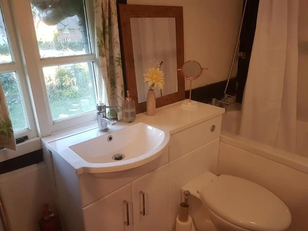 Delightful 3 bed Thatched Cottage Near Winchester