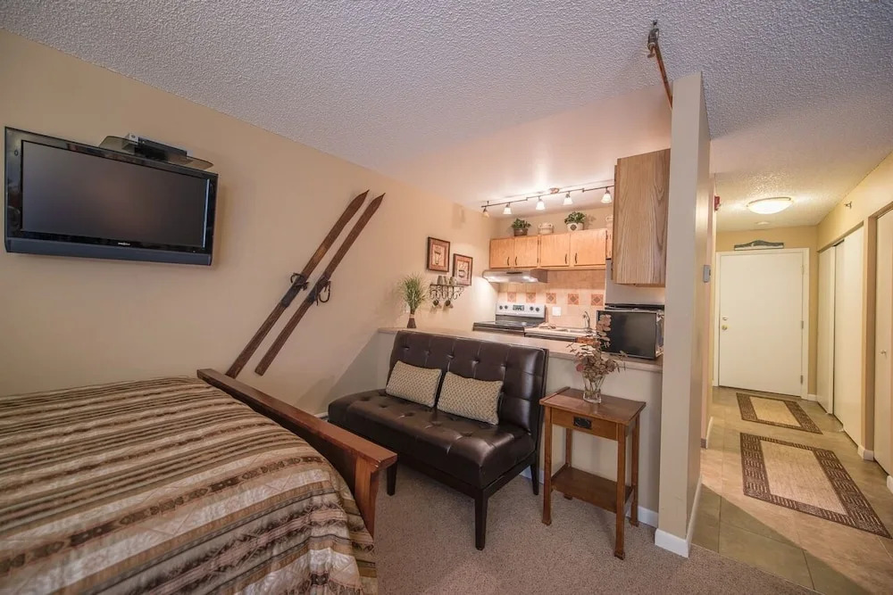 #1596 Awesome Ski-in Studio - Fantastic Mountain Views in Breckenridge
