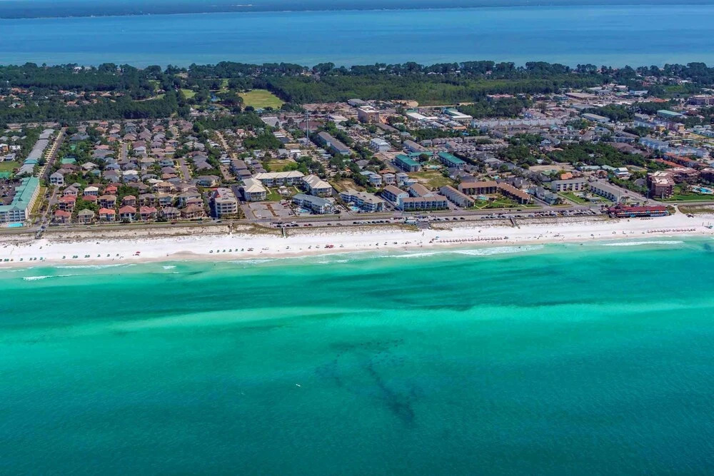 Green Reef #8- Beachy Keen