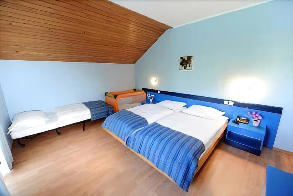 Hotel Bor & Grad Hrib