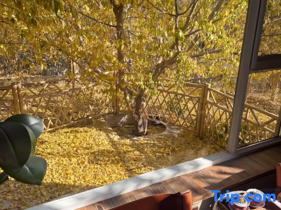 Dunhuang Summer Viewing Homestay