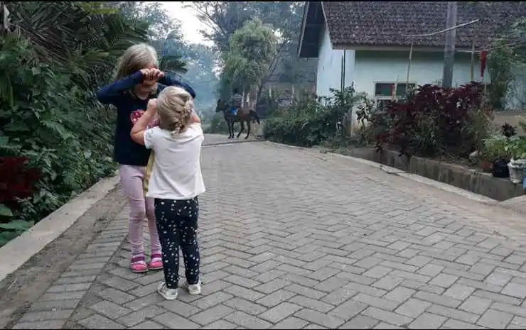 Mi Casa - The gem of Ijen