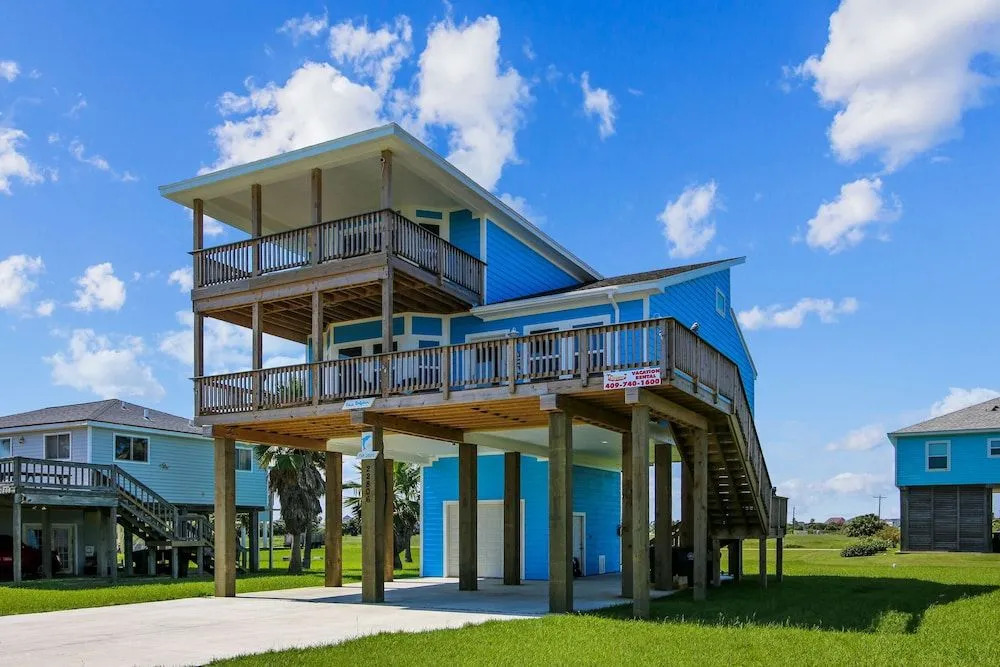 Blue Dolphin