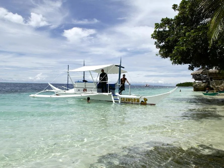 Dive Point Alcoy