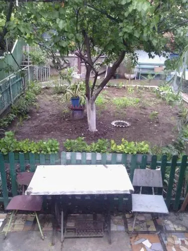 Guest house on 9 brothers street