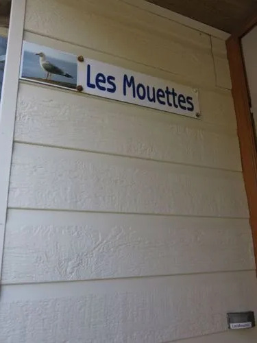 Les Mouettes (PGX300)