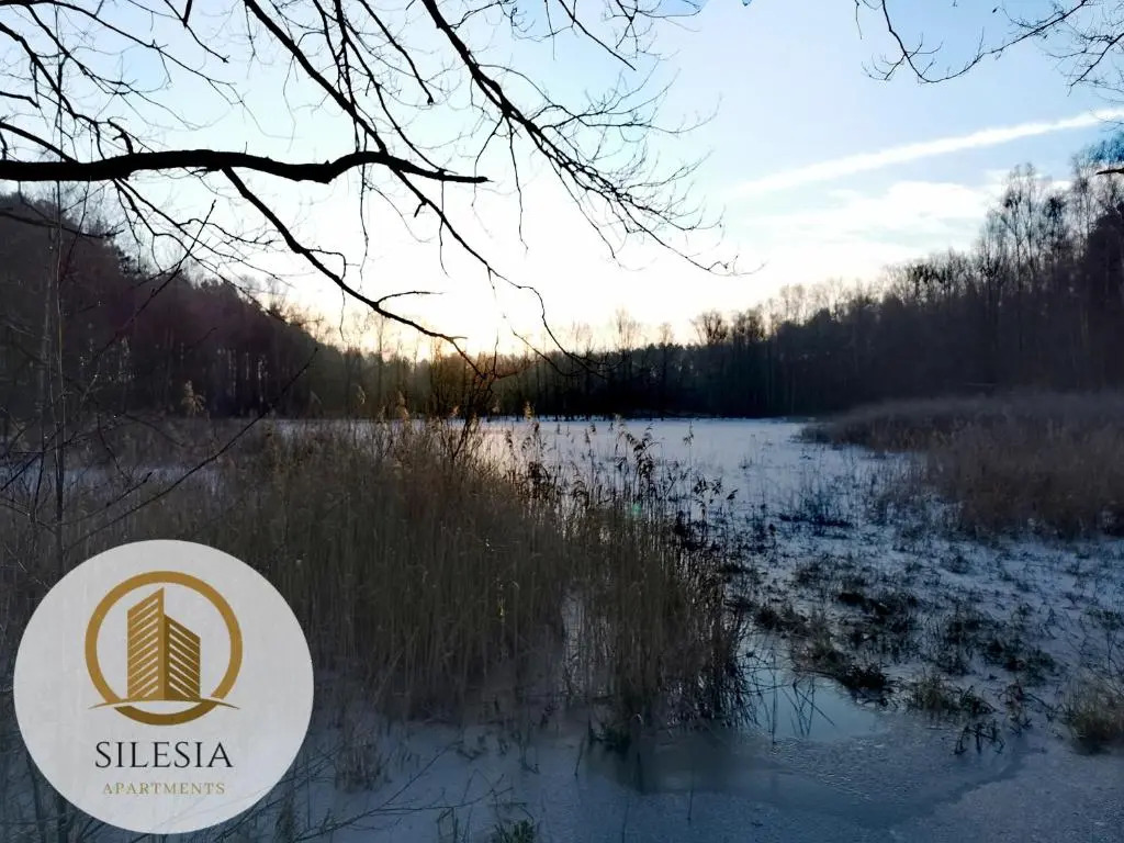 Apartament Lancelot