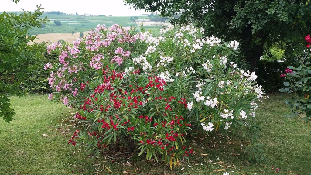 Agriturismo Bricco San Giovanni