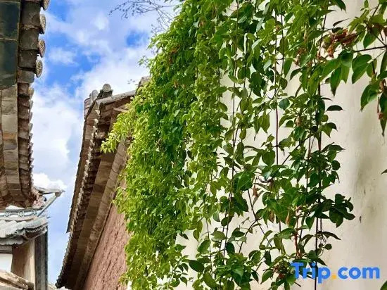WeiShan Ancient City Pingchang Homestay
