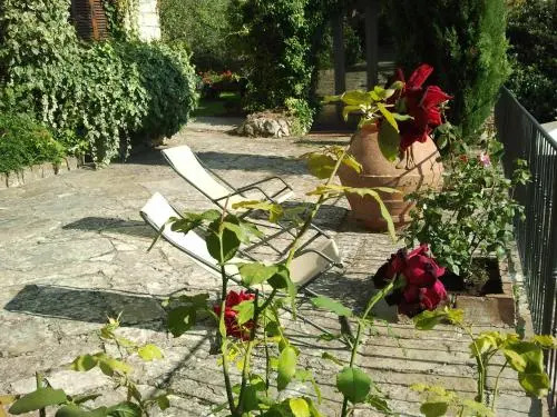 Campo Agli Olivi
