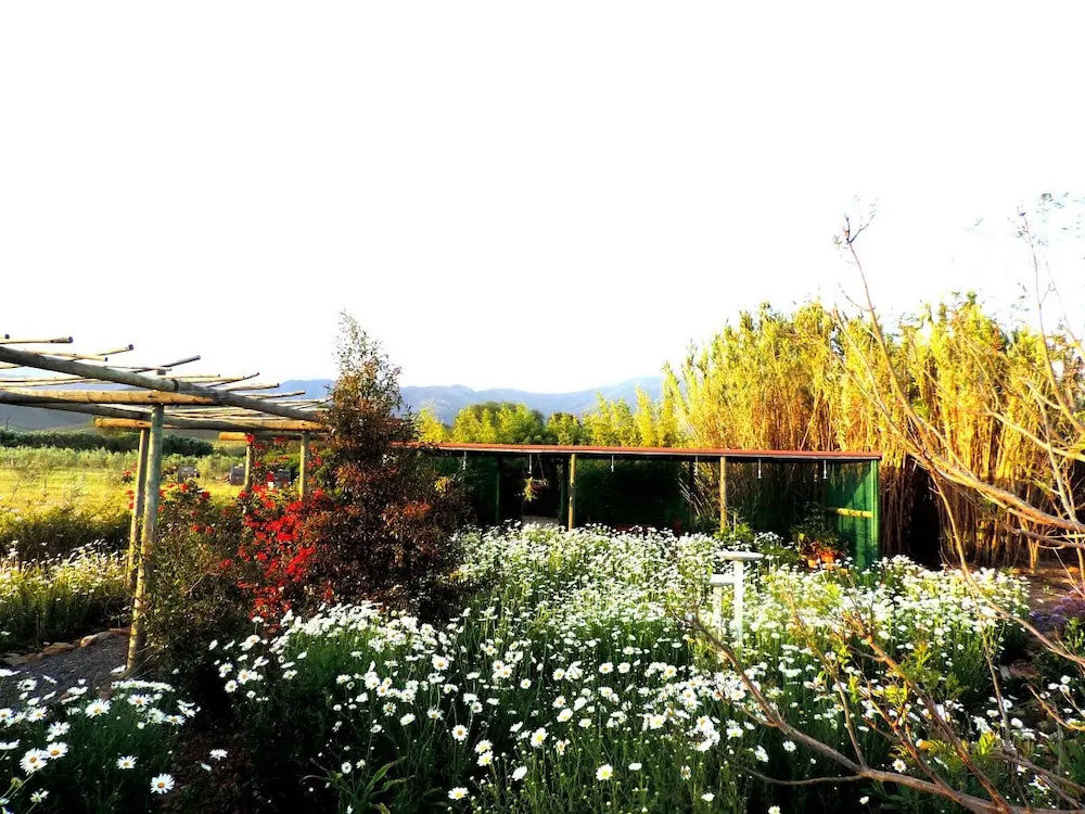 Mallowdeen Gardens