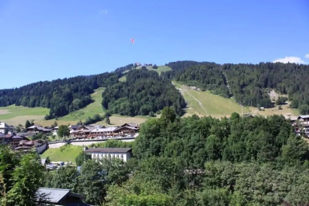 les gravillons