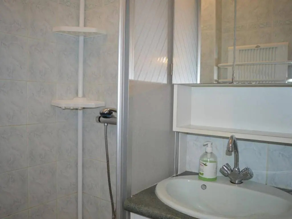 Appartement Argelès-sur-Mer, 1 pièce, 4 personnes - FR-1-225-608