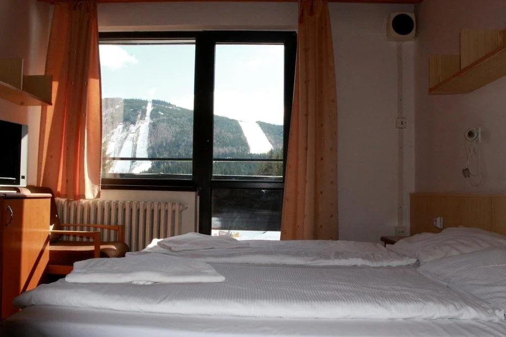 Wellness Hotel Šedý Vlk