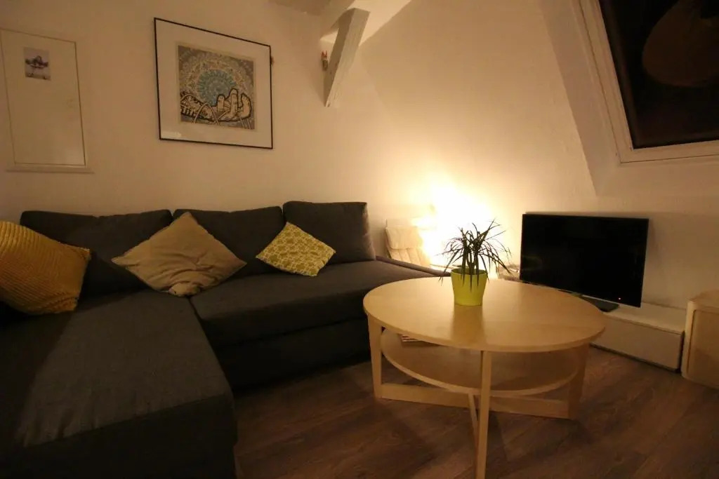 Colmar City Center - Appartement BELLE-VUE 4 étoiles