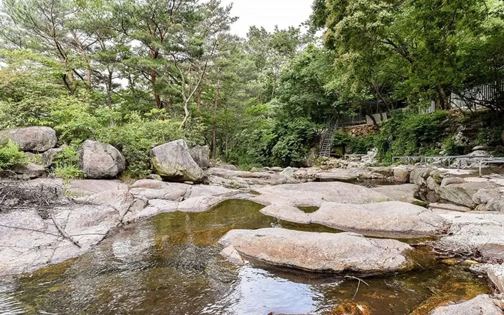 Gwangyang Banwolsanjang Pension(광양 반월산장펜션)