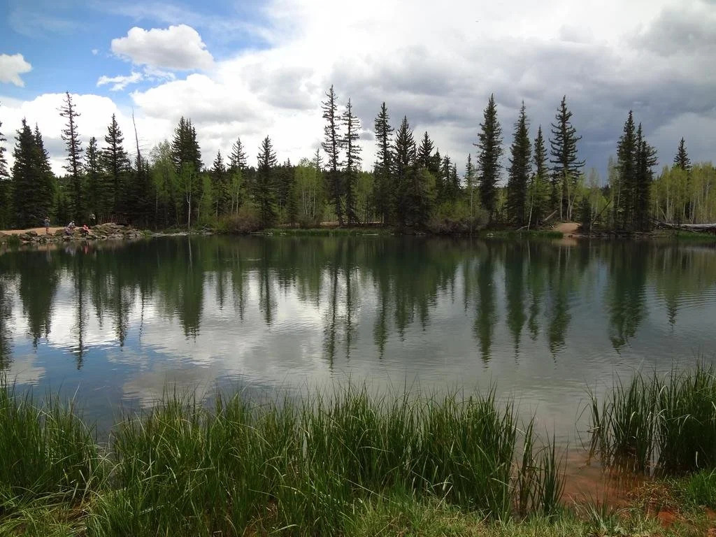 The Lodge at Duck Creek