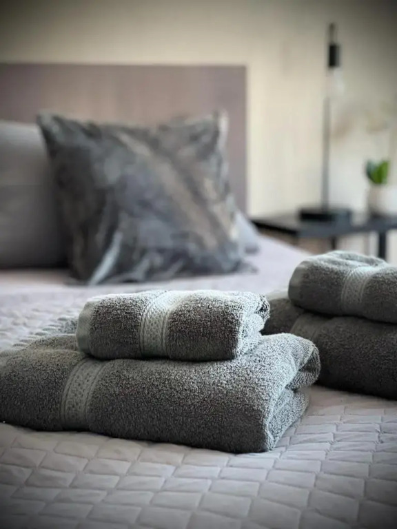 Modernes 2-Zimmer-Apartment, Nähe der neuen Leipziger Messe, ideal für vier Personen