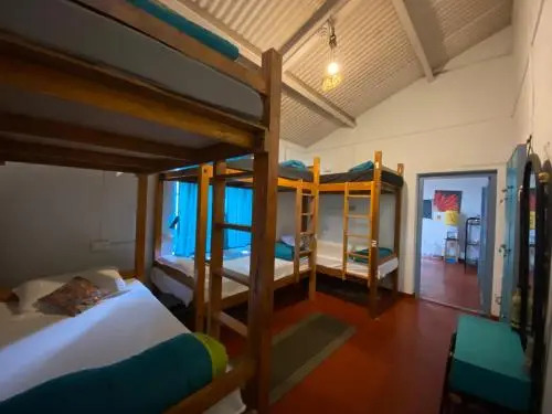 The Birdhouse Backpackers Hostel