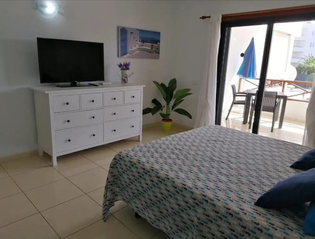 Large studio apartment with lovely terrace and wifi
