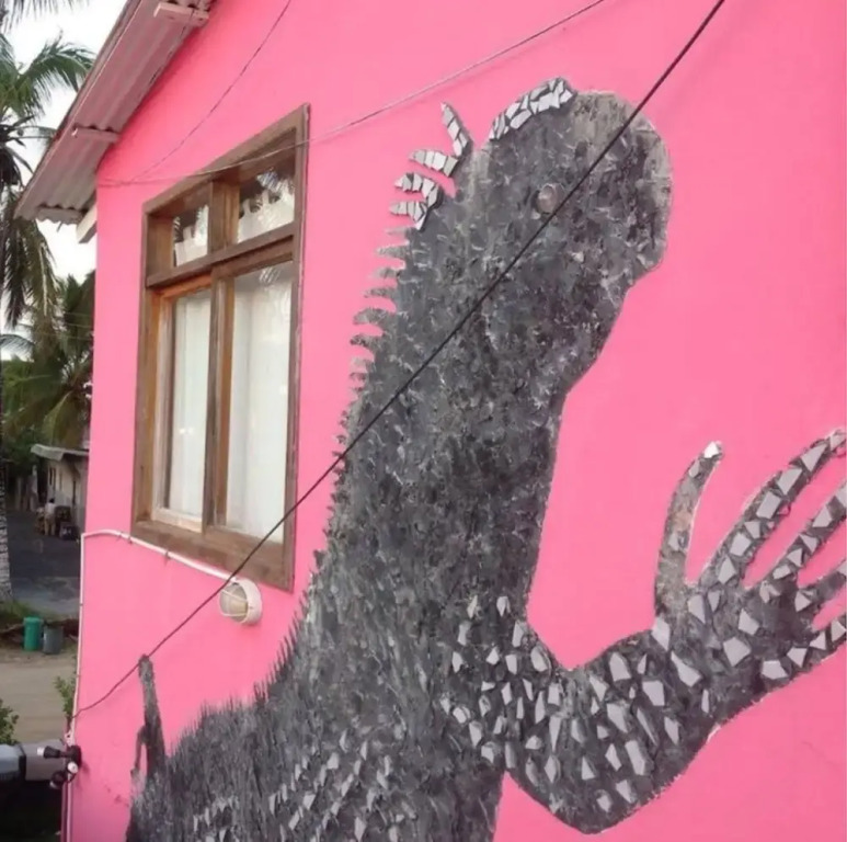 Casa Rosada Galapagos