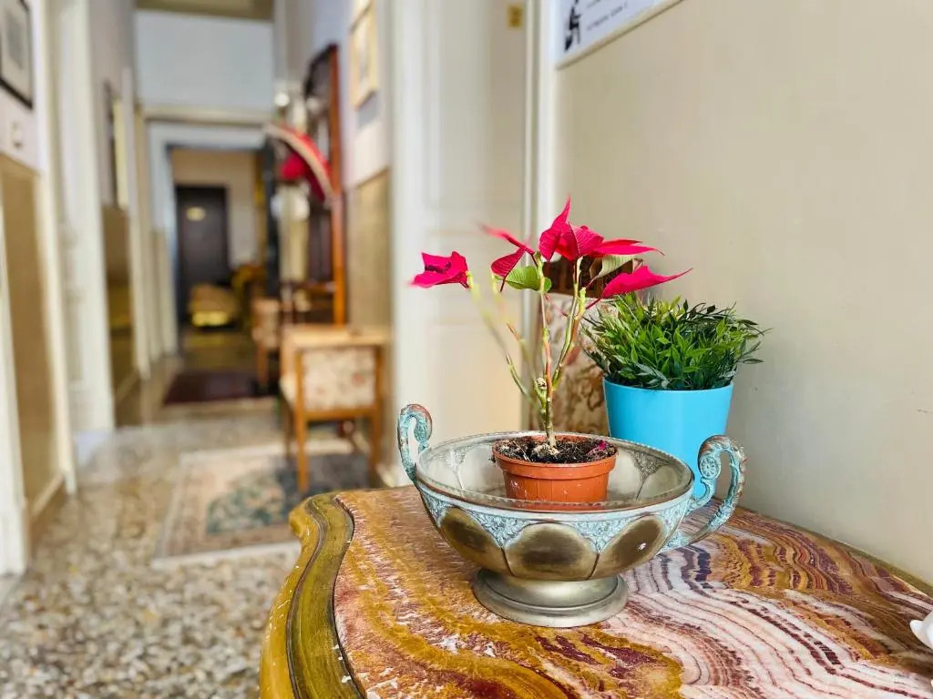 Montello Guest House & Apartment