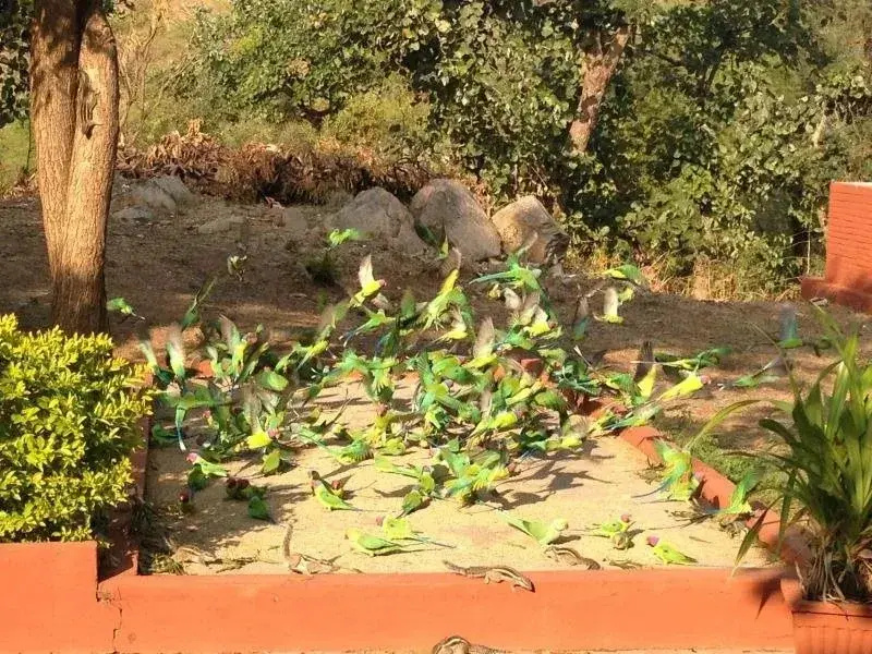 Roopam Resort