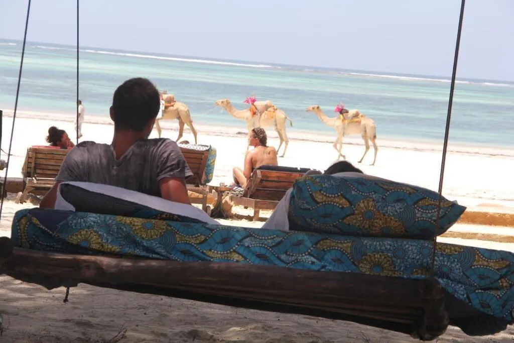 Bidi Badu Zanzibar Village - Hostel