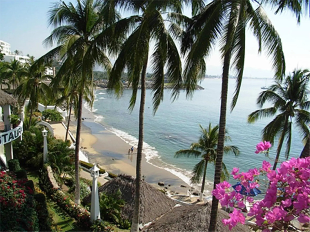 Dolphin Cove Inn