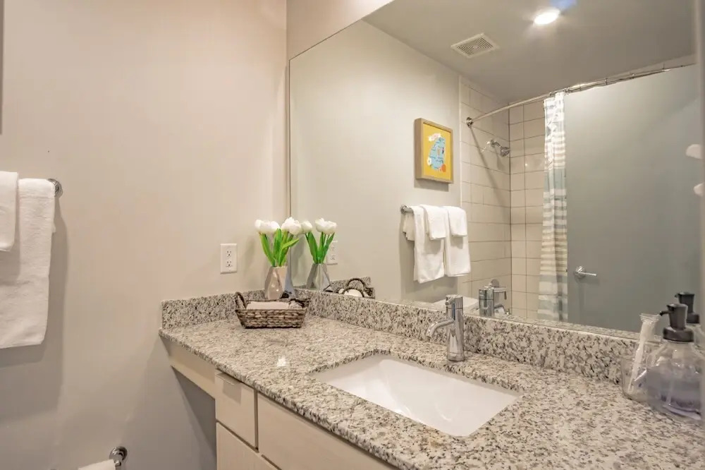 2br Fully Furnished Apartment In Midtown Atlanta 2 Bedroom Apts by RedAwning