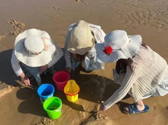 Weizhou Island Xinhai Seaview Homestay