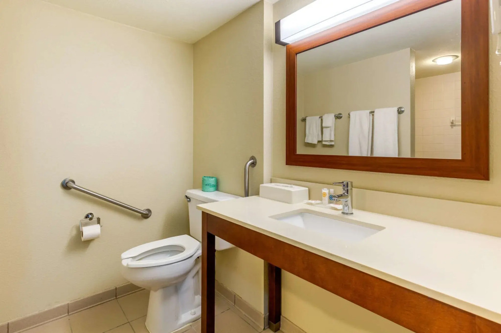 Comfort Inn Red Horse Frederick