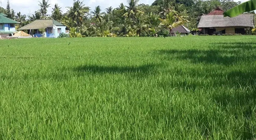 Jepun Villa Ubud