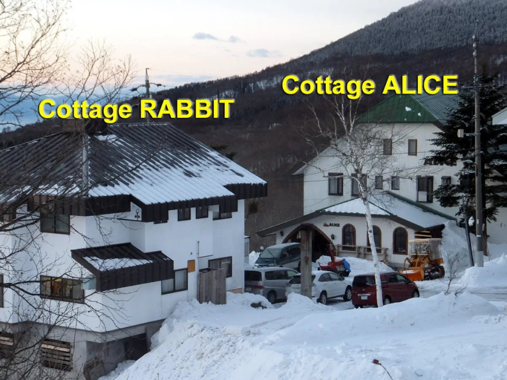 White Rabbit Madarao
