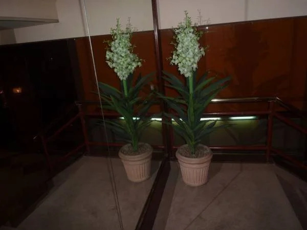 Andorinha Hotel
