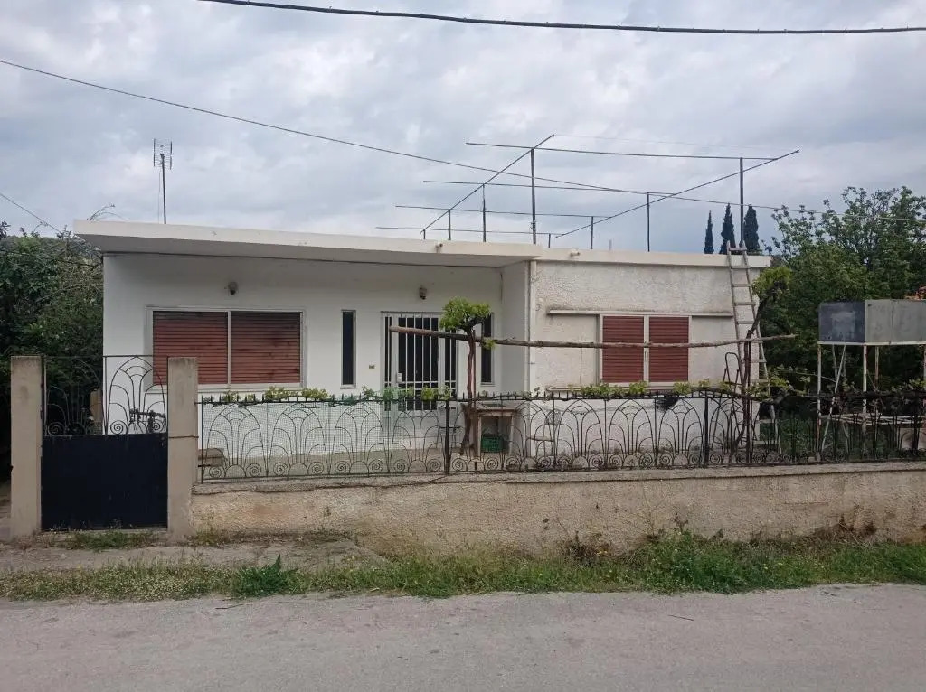 Skoupeikon