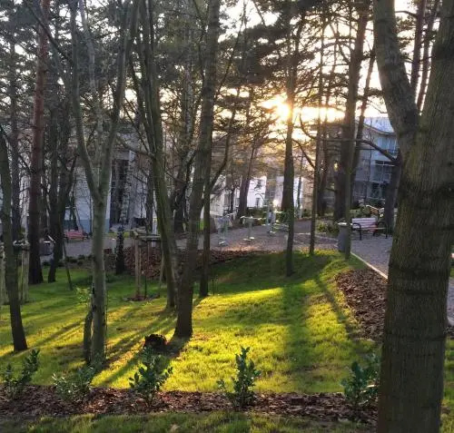 Apartament 15